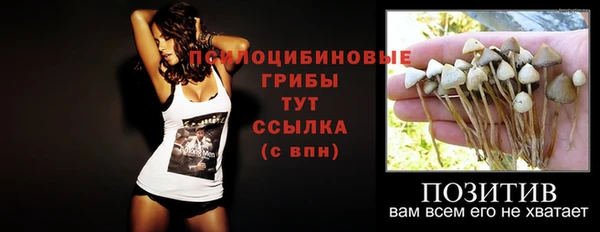 гидра Лихославль