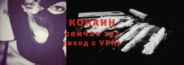 гидра Лихославль