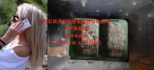 прущий лед Лиски