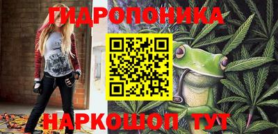 дживик Берёзовский