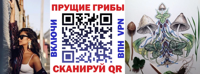 Галлюциногенные грибы прущие грибы Владикавказ
