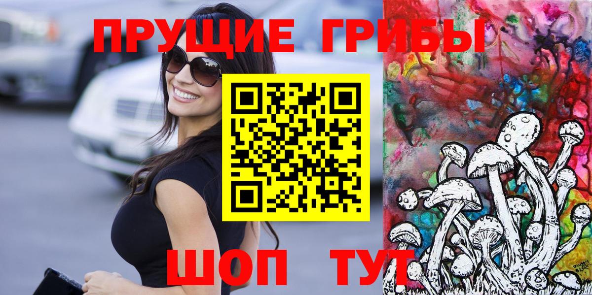 Галлюциногенные грибы Psilocybine cubensis Владикавказ