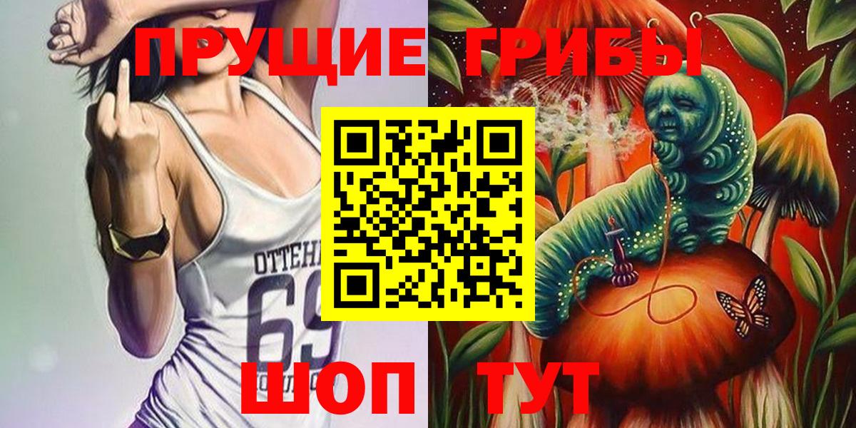 Псилоцибиновые грибы GOLDEN TEACHER Владикавказ