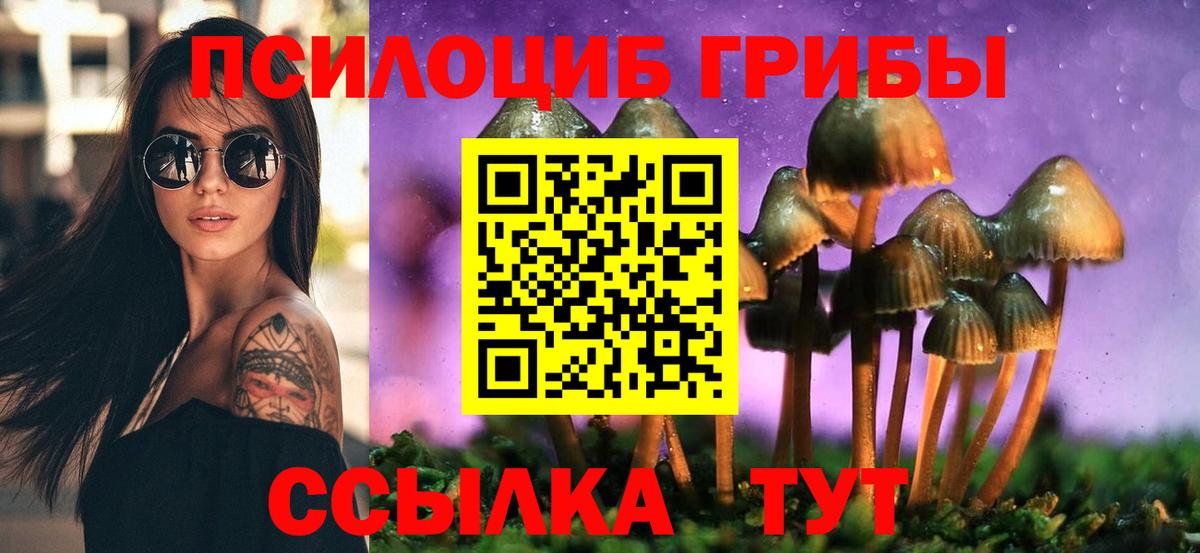 Владикавказ  хочу   Вход с VPN  Галлюциногенные грибы Magic Shrooms  Псилоцибиновые грибы мухоморы 